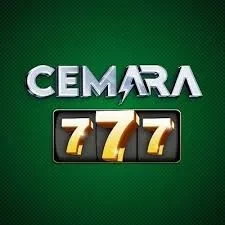 Review Aplikasi cemara777 Versi Terbaru